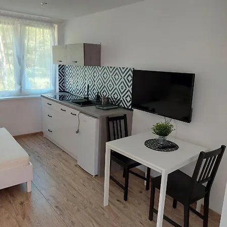 Jezynowa 20 - Przestronne Z Placem Zabaw Aparthotel