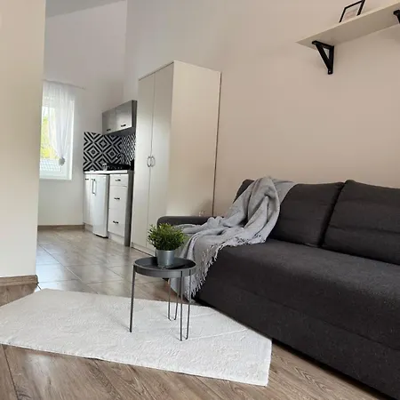 Jezynowa 20 Διαμέρισμα Rowy (Pomerania)